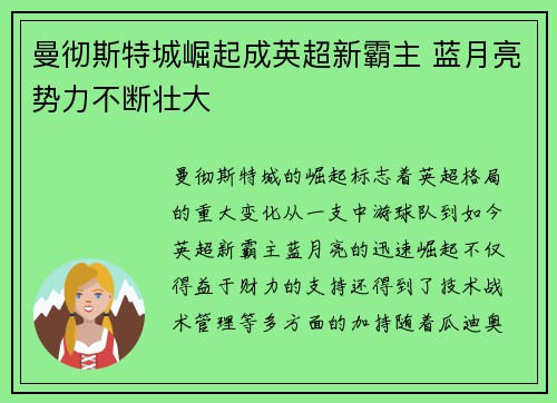 曼彻斯特城崛起成英超新霸主 蓝月亮势力不断壮大