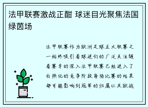 法甲联赛激战正酣 球迷目光聚焦法国绿茵场 法甲联赛激战正酣 球迷目光聚焦法国绿茵场